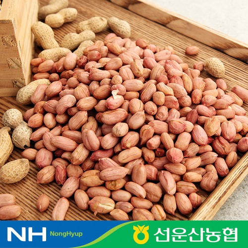[선운산농협] '2025년산'생알땅콩 1KG× [ 5 ]