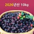 [선운산농협]2026년산 햇 복분자생과 10kg(냉동/벌크)