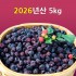 [선운산농협]2026년산 햇 복분자생과 5kg(냉동/트레이)
