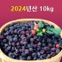 [선운산농협]2024년산 햇 복분자생과 10kg(냉동/벌크)